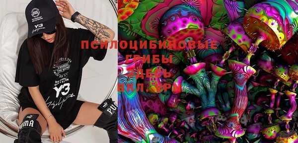 гидропоника Алзамай
