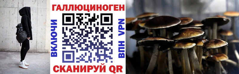 Псилоцибиновые грибы Psilocybine cubensis где можно купить наркотик Звенигород
