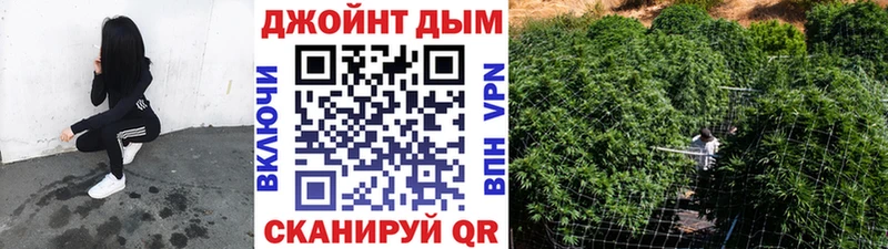 Конопля сатива  Звенигород 